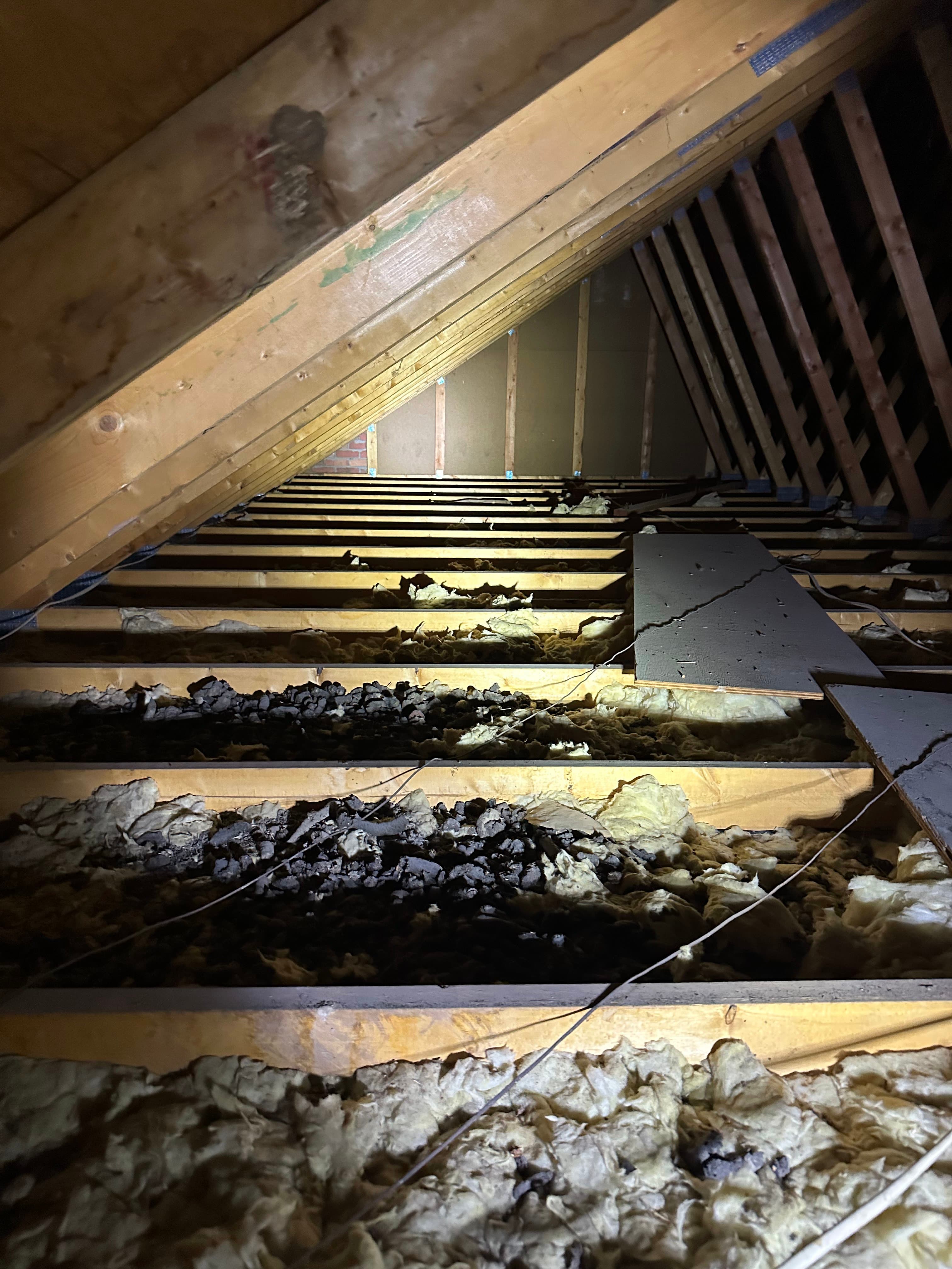 Attic insulation inspected around roof framing