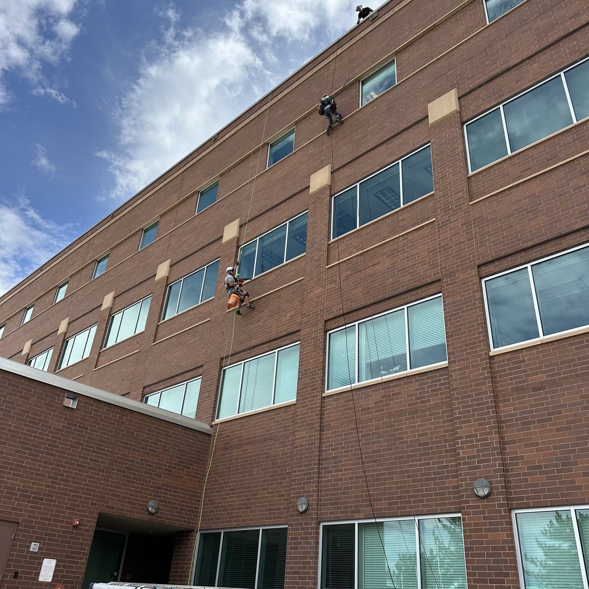 Commercial building exterior for bat exclusion planning